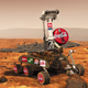 The Real Rover.